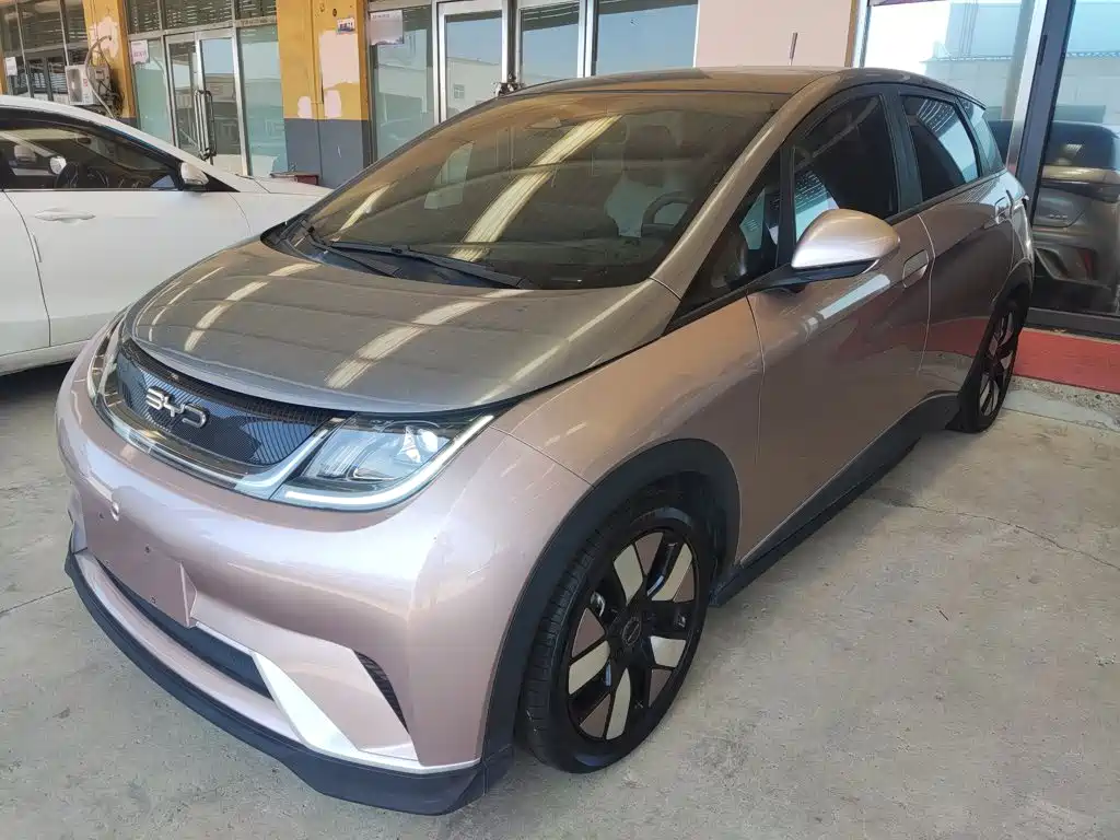 BYD Dolphin 2021