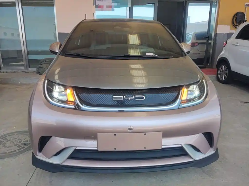 BYD Dolphin 2022 2021 401km Knight Edition