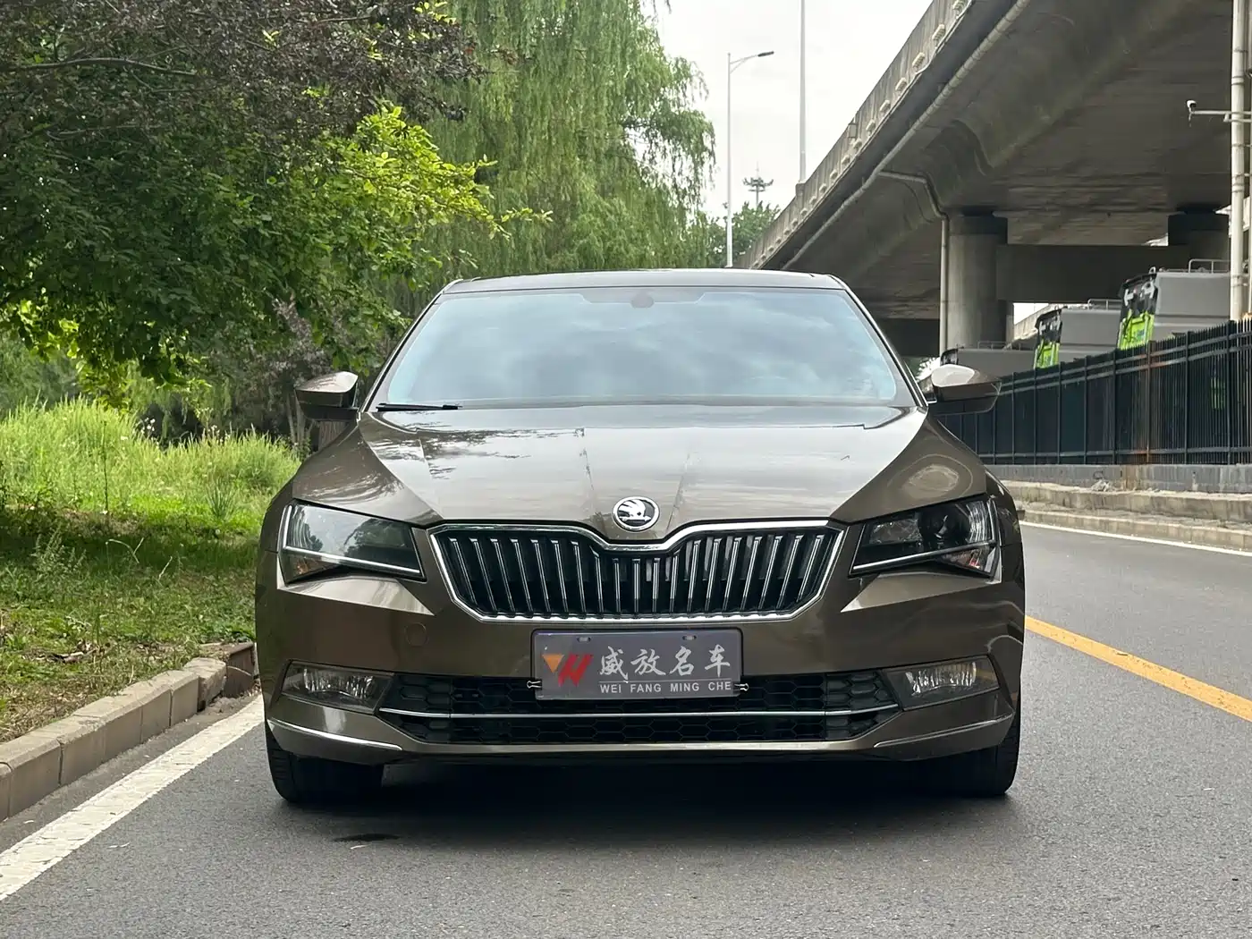 Škoda Superb 2016 TSI330 DSG Pioneer Edition фото 2