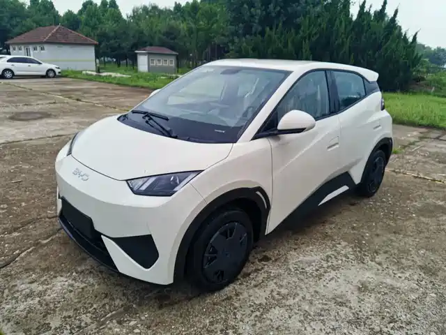 BYD Seagull 305km, Энергия