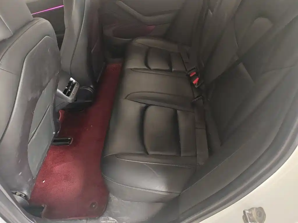 Tesla Model 3 (Import) 2019 2019 Long Range RWD Version