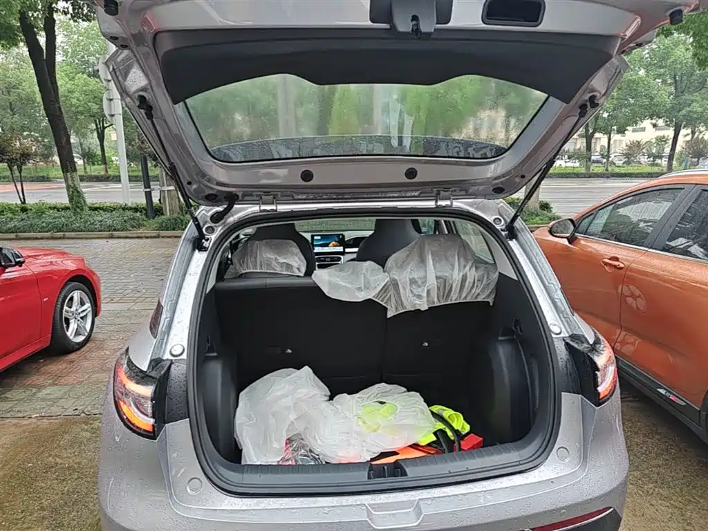 Geely Galaxy Starry Wish 2026 Edition 310km Youth Version фото 19