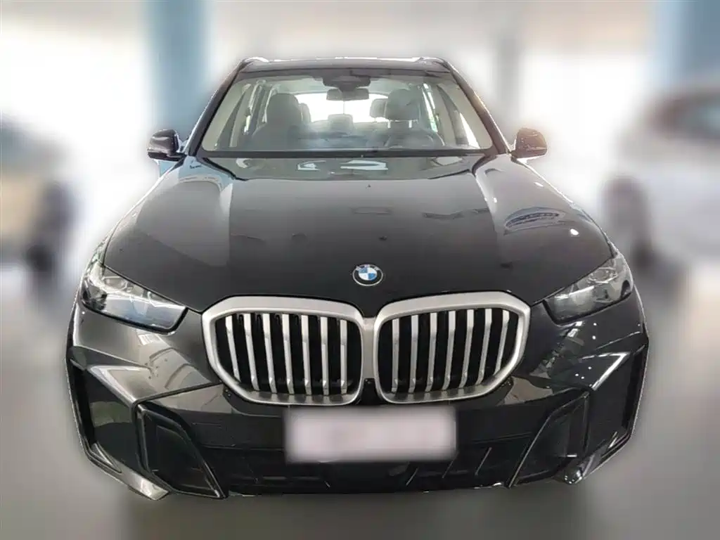 BMW X5 2023 xDrive 30Li Premium M Sport Black Night Package фото 3