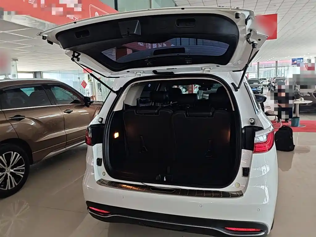 BYD Song MAX 2019 1.5T Auto Smart Connect Dynamic 7-seater China V фото 19