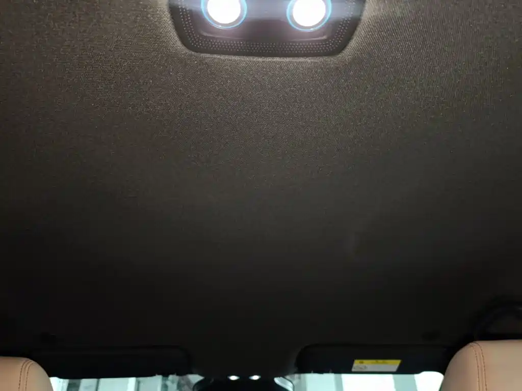 BYD Dolphin 2025 2025 Smart Drive Edition 420km Freedom Version