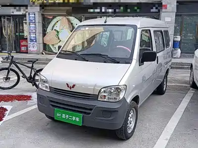 Wuling Sunshine