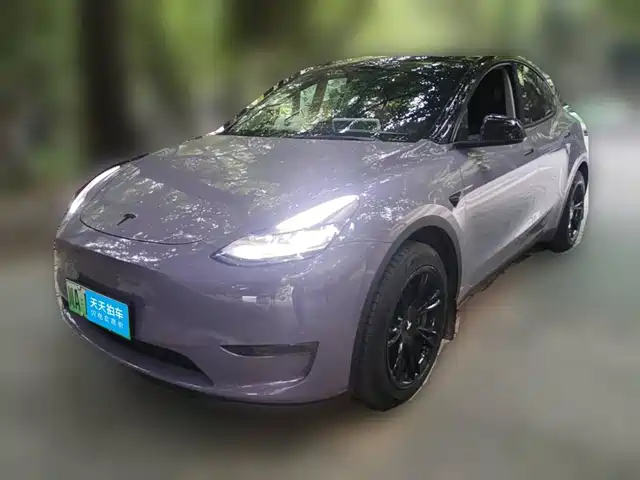 Tesla Model Y 2024 Long Range AWD — фото 1