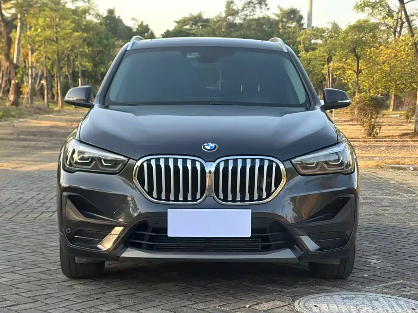 BMW X1 2022 sDrive25Li Leading фото 2