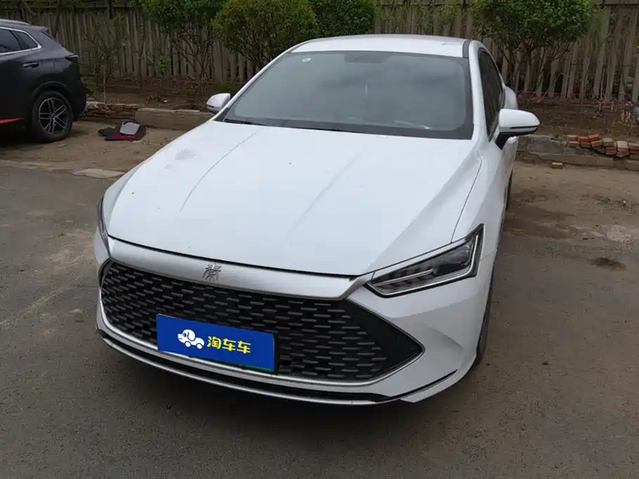 BYD Qin PLUS 2024 Glory Edition DM-i 55KM Leading фото 2