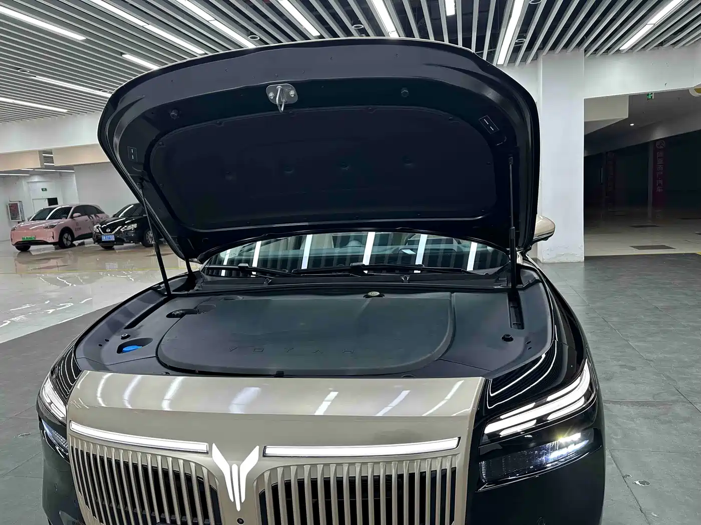 Voyah Auto VOYAH Zhuiguang L 2025 Mid-configuration Model фото 26