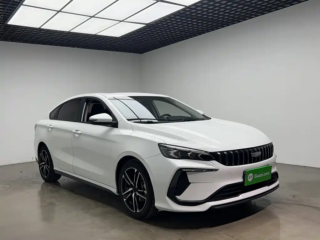 Фото 22 - Geely Binrui