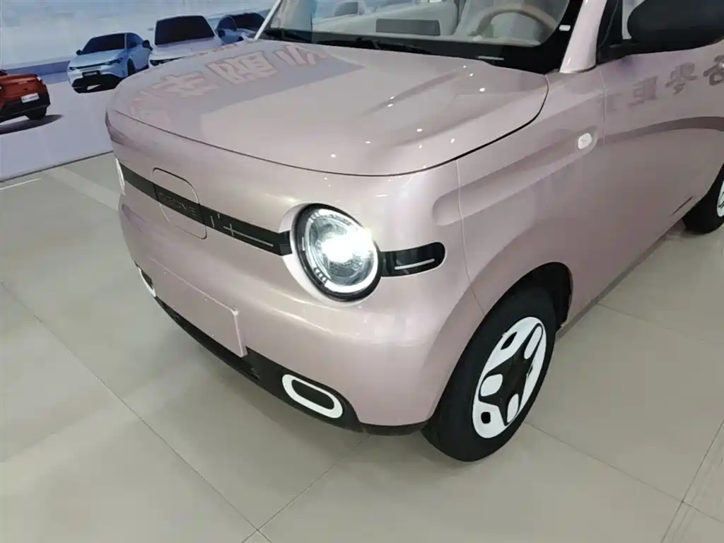 Geely Galaxy Panda 2025 Panda mini 210km Vitality Bear фото 24