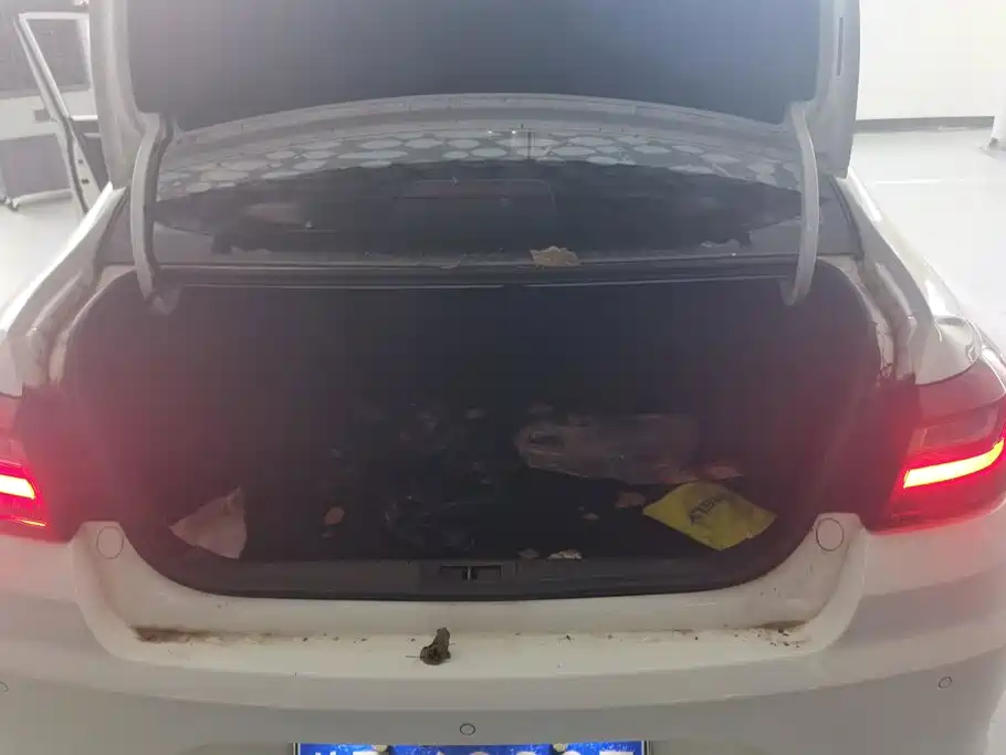 Geely Vision 2019 2019 Upgrade Edition 1.5L CVT Premium (China VI)