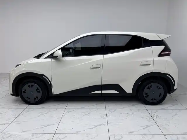 BYD Seagull 2025 305km Vitality фото 4