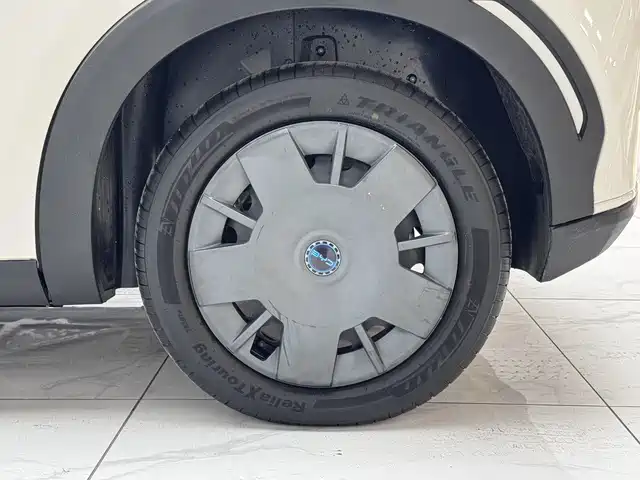 BYD Seagull 2025 305km Vitality фото 19