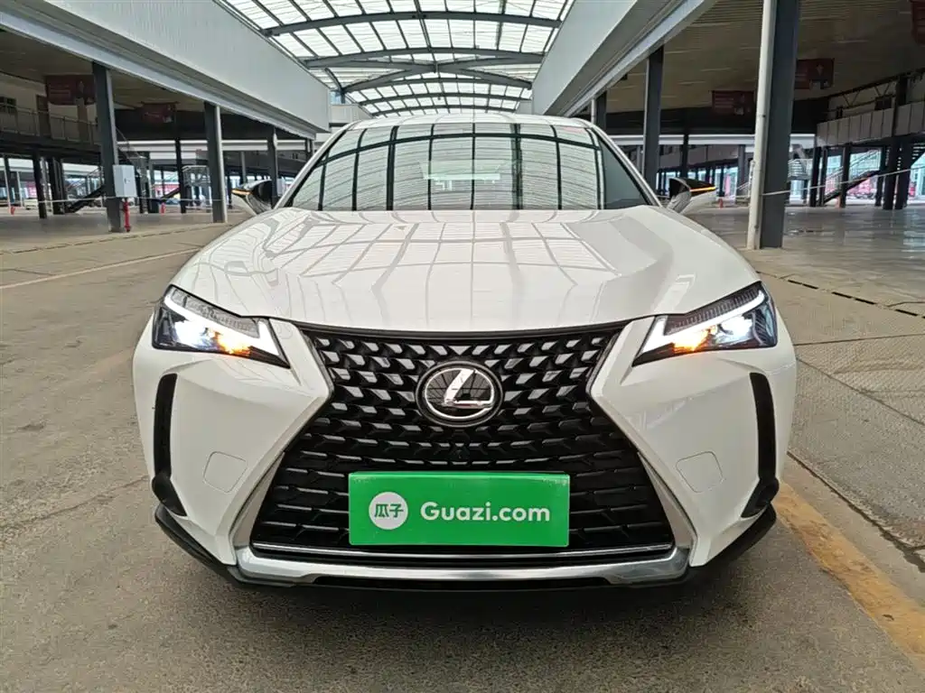 Lexus UX 2022 260h Explore Edition фото 3
