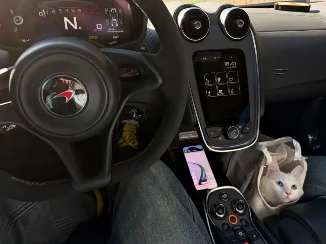 McLaren 570 2019 2015 570S 3.8T Coupe