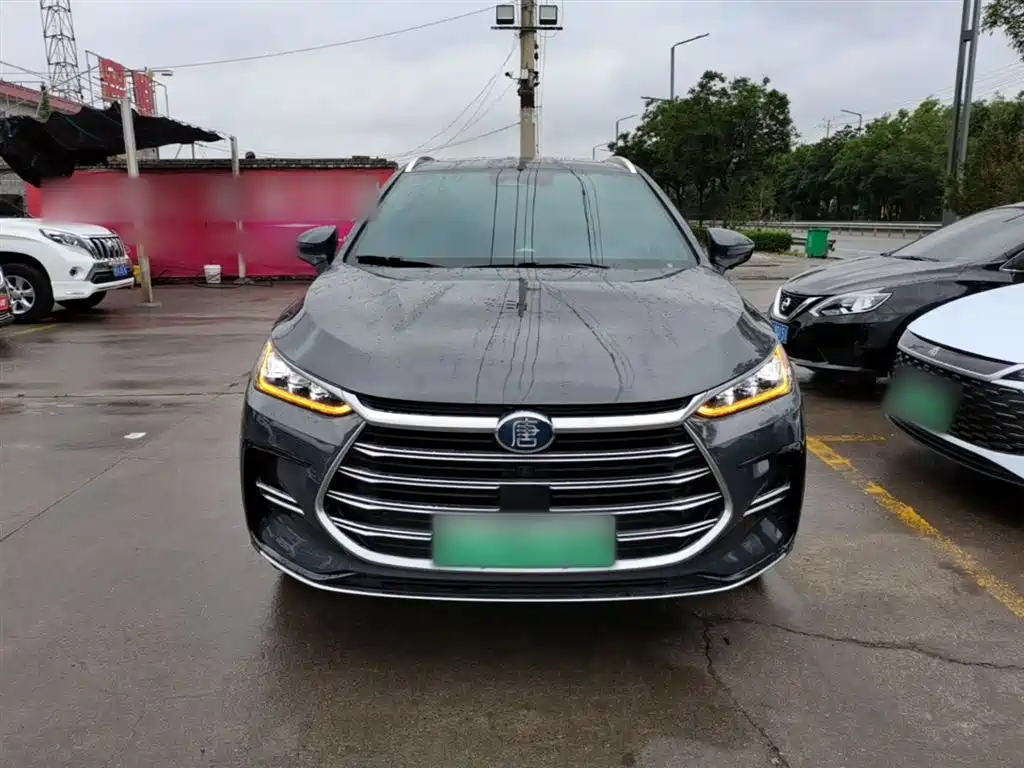 BYD Tang New Energy 2021 DM-i 112KM Honor фото 3