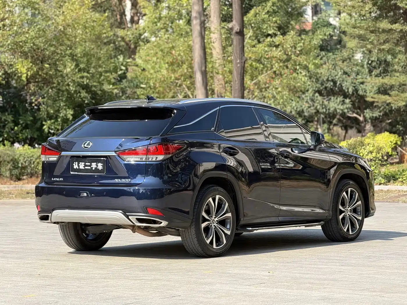 Lexus RX 2020 Facelift 300 AWD Elegance Edition фото 21