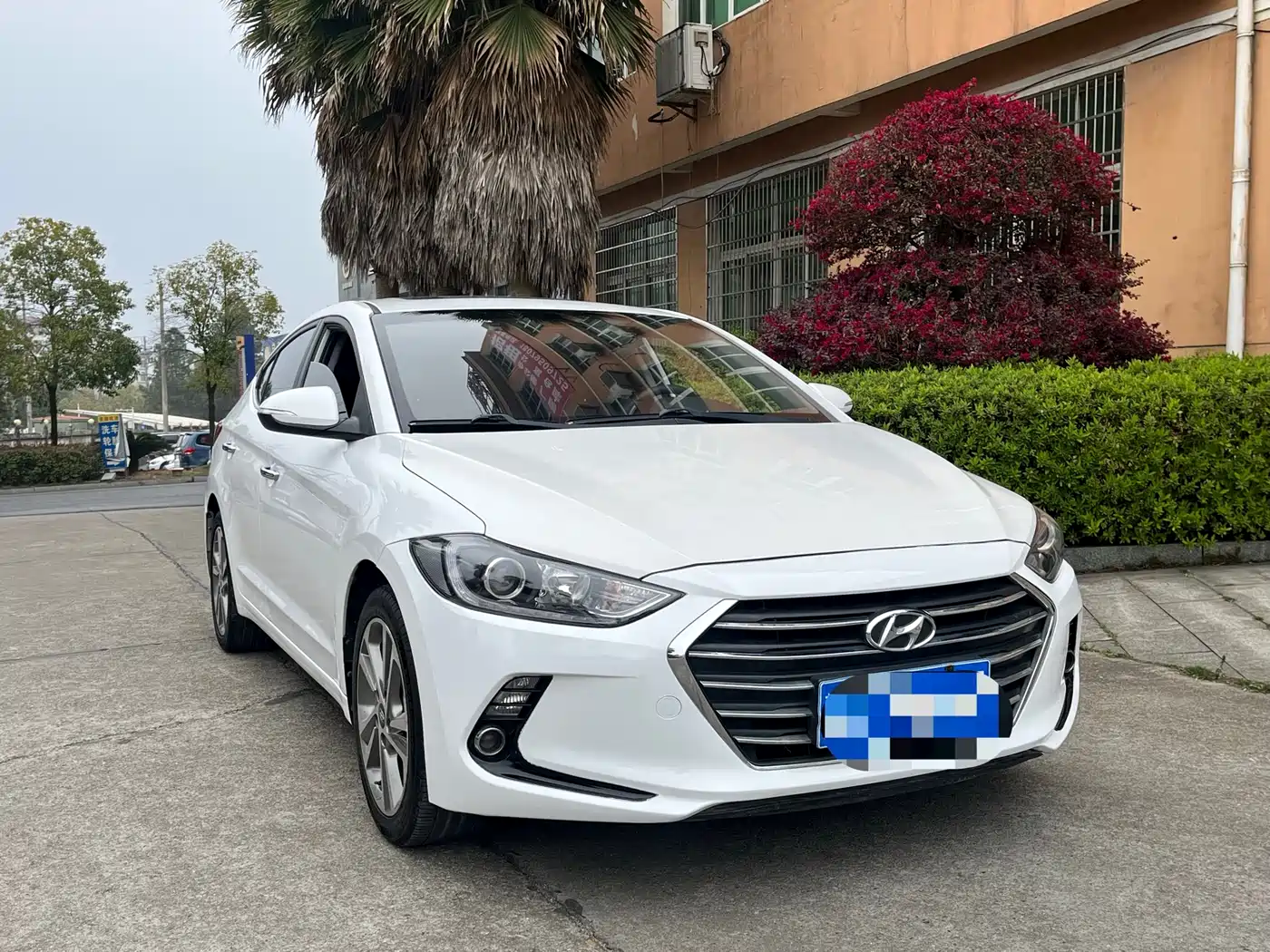 HYUNDAI LEAD