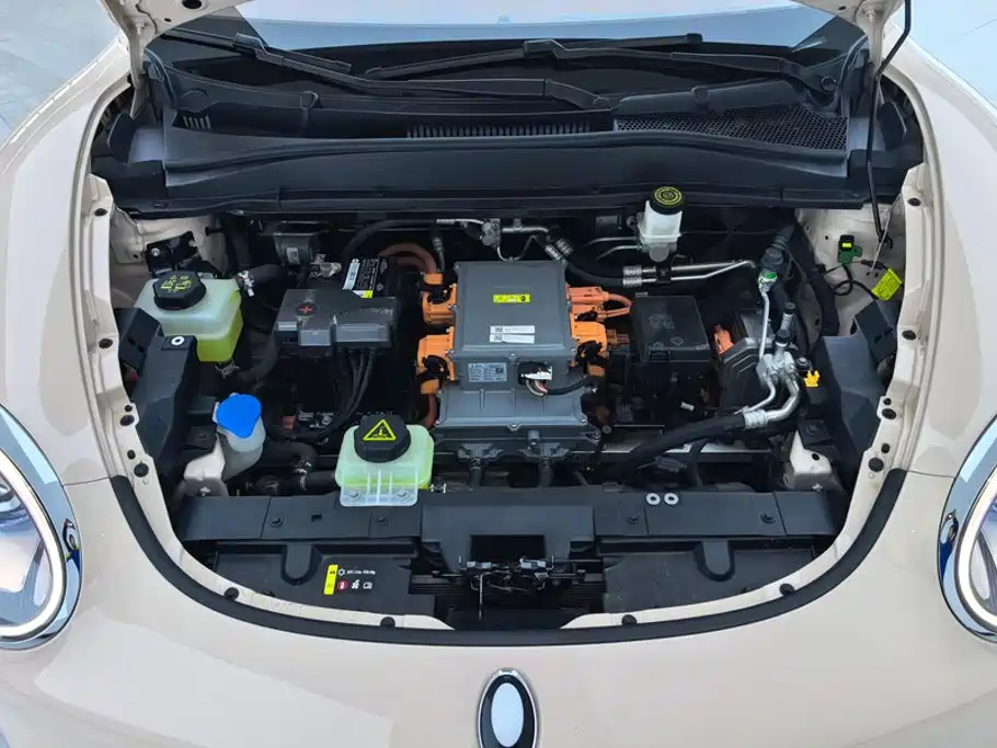 Ora Good Cat 2024 2023 401km Standard Range Luxury LFP