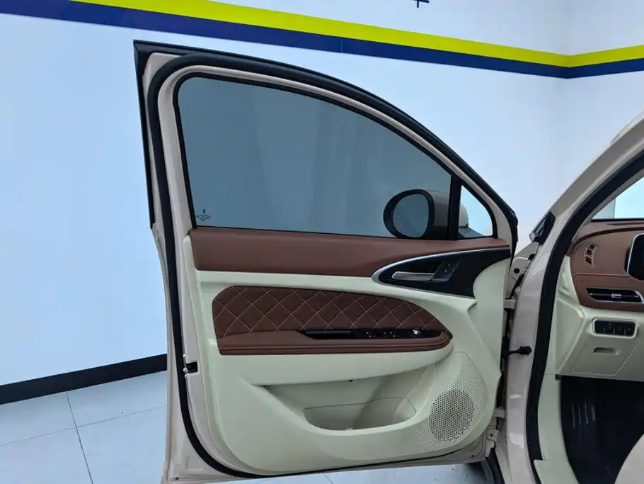 Ora Good Cat 2024 2023 401km Standard Range Luxury LFP