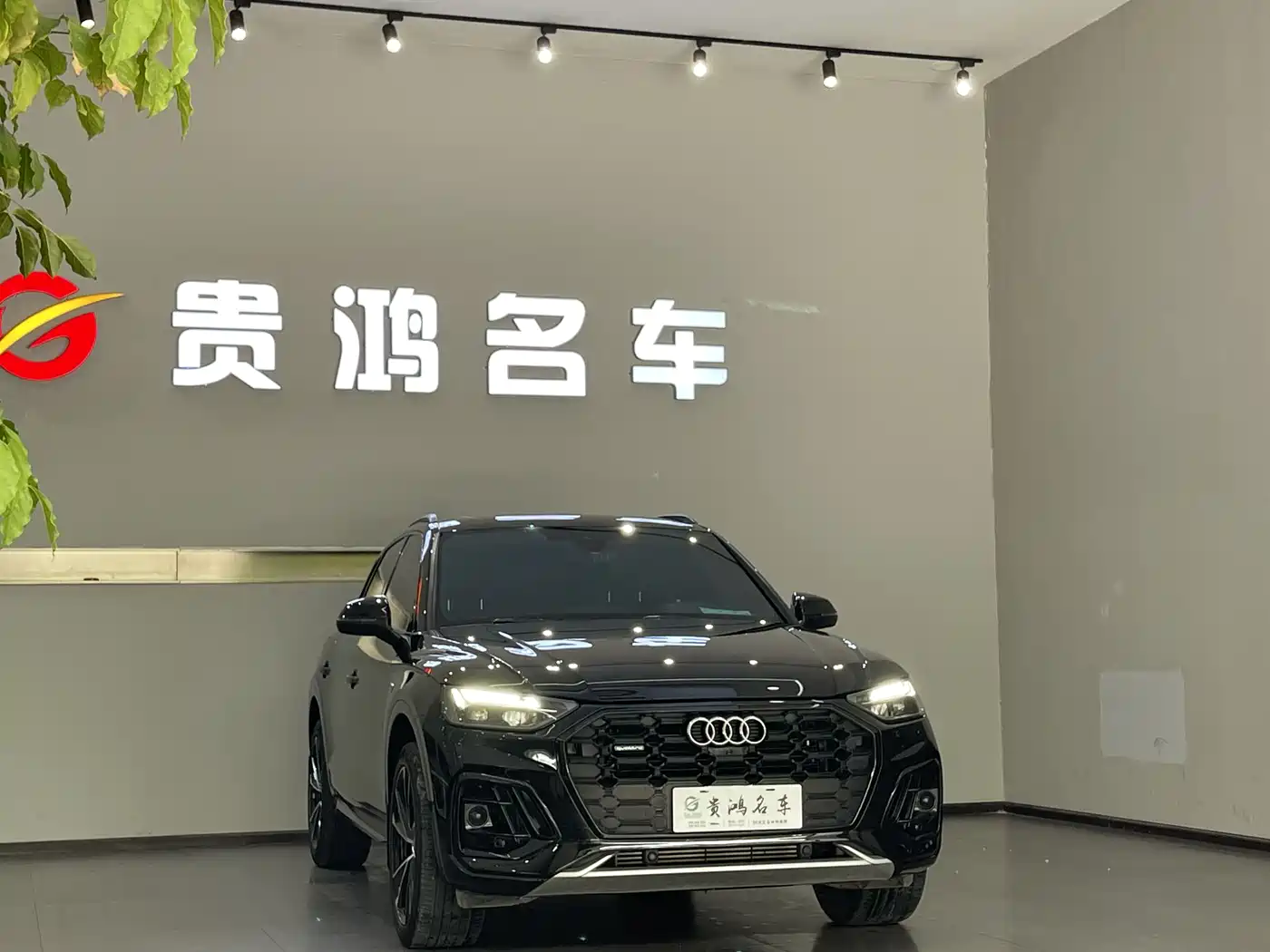 Audi Q5L 2024 Model 45 TFSI Luxury Dynamic фото 3