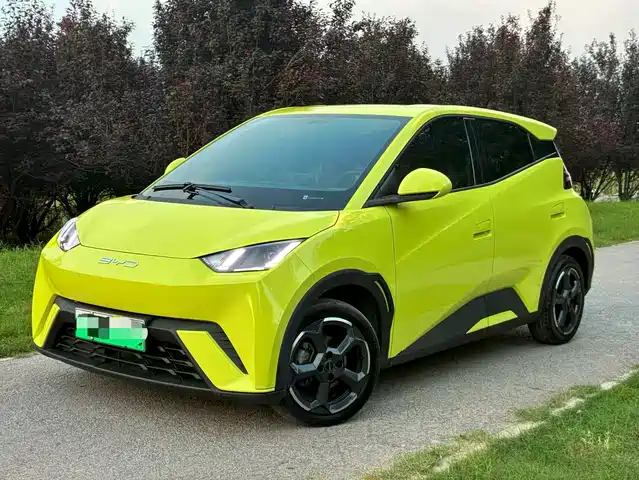  BYD Seagull 2024 Glory Edition 305km Freedom Edition