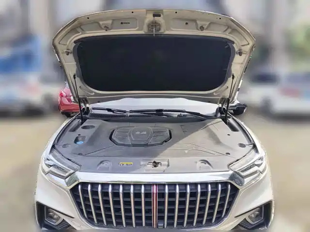 Hongqi HS5 2019 2.0T Smart Connect Enjoy 4WD Edition — фото 3