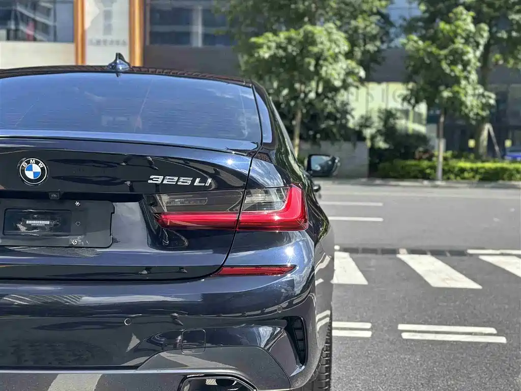 BMW 3 Series 2020 325Li M Sport Black Night Package фото 11