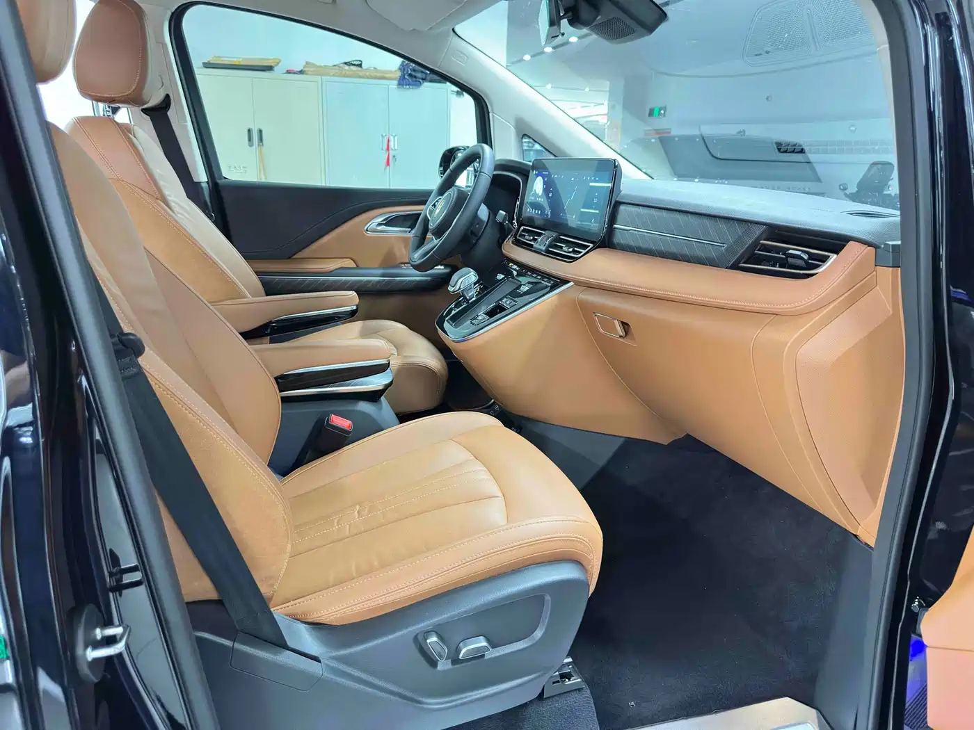 Hongqi HQ9 PHEV 2024 Model 2.0T AWD Business Edition фото 18