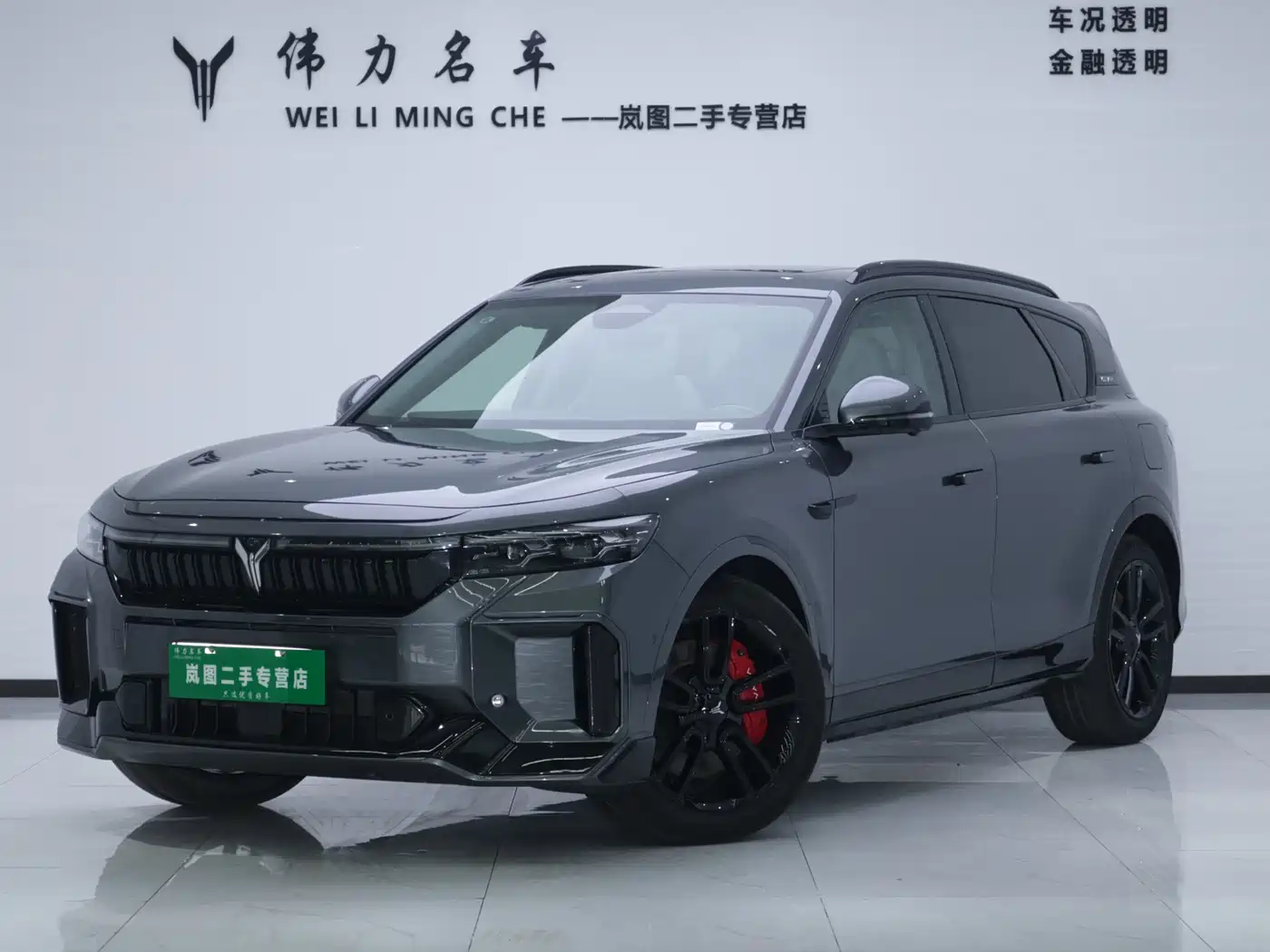 Voyah Auto VOYAH FREE 2025 318 318km RWD Touring Edition