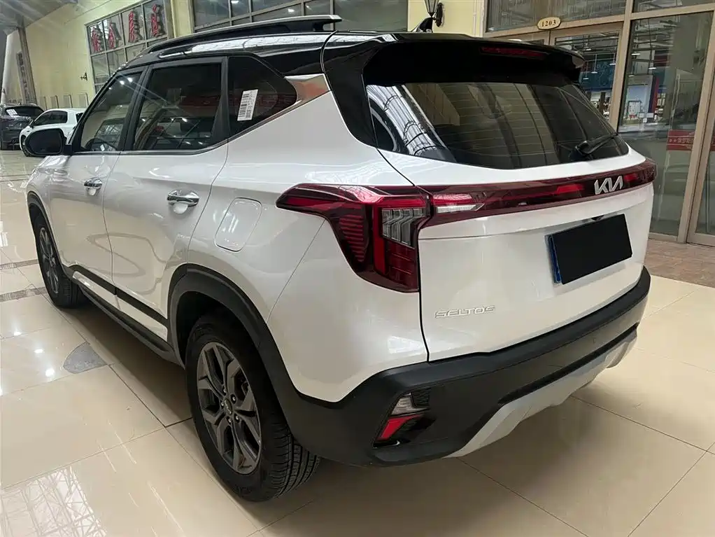 Kia Seltos 2023 1.5L CVT Luxury Edition фото 6
