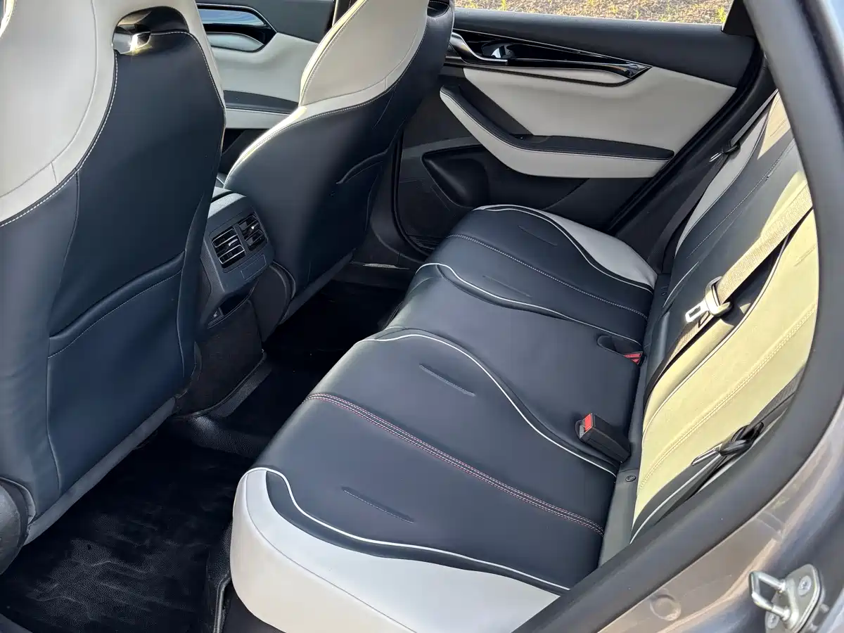 BYD Qin PLUS 2021 DM-i 120KM Premium фото 8