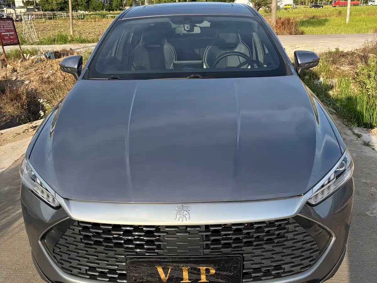 BYD Qin PLUS 2021 DM-i 120KM Premium фото 3