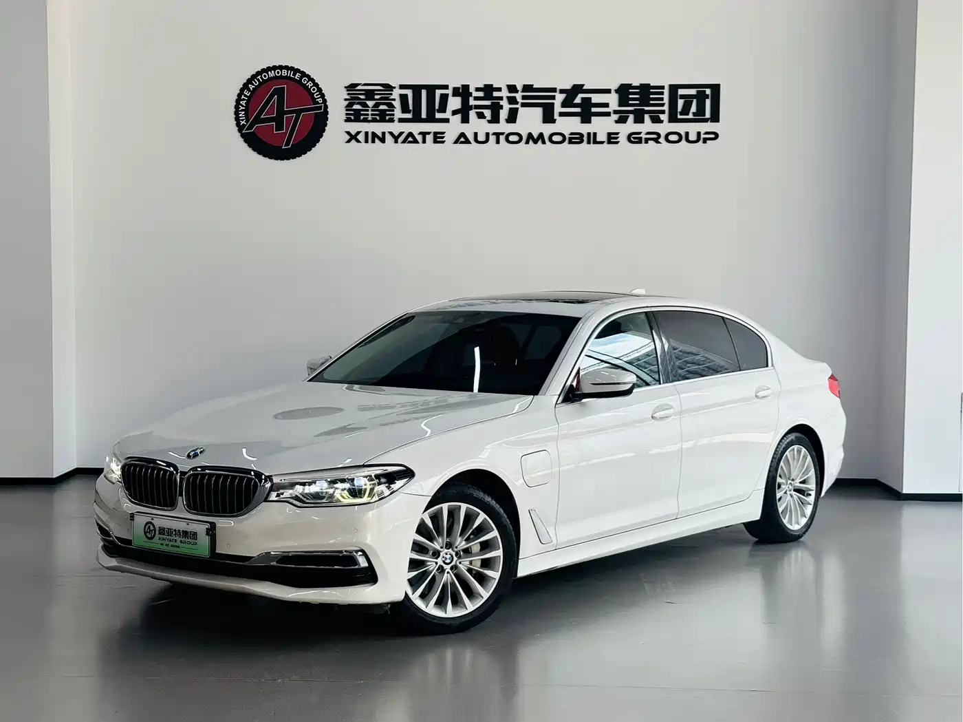 BMW 5 Series New Energy 2020 530Le Range Upgrade Luxury Package
