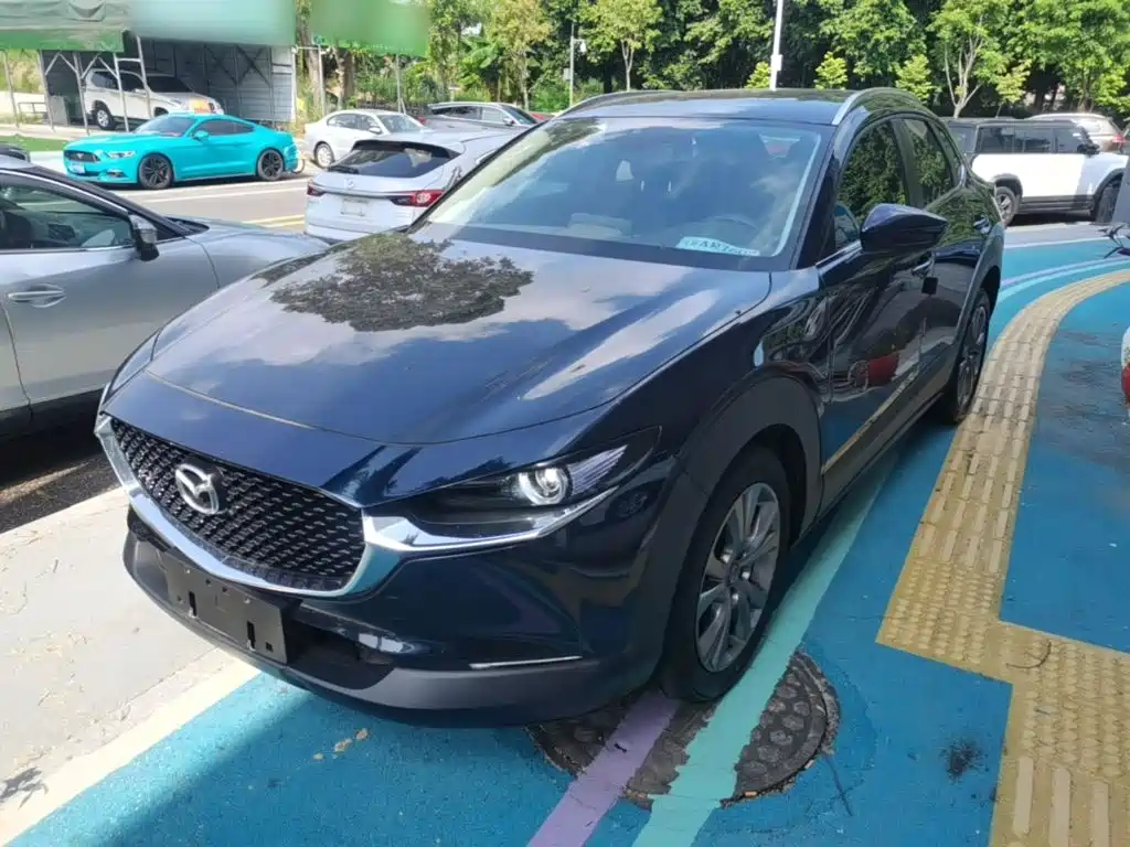 Mazda CX-30 2021 2021 2.0L Auto Premium Joy Type