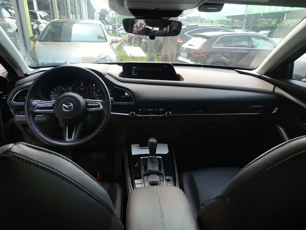 Mazda CX-30 2021 2021 2.0L Auto Premium Joy Type