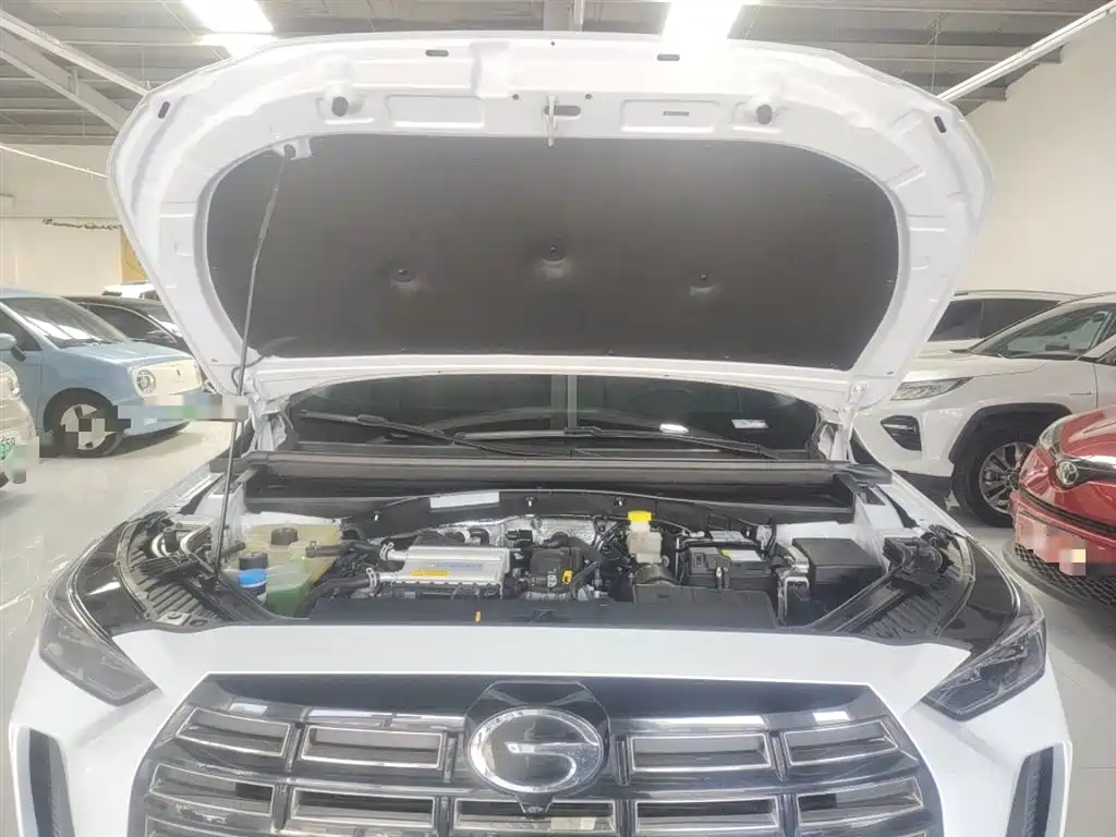 GAC Trumpchi Trumpchi GS4 2024 MAX 1.5T Flagship Edition фото 20