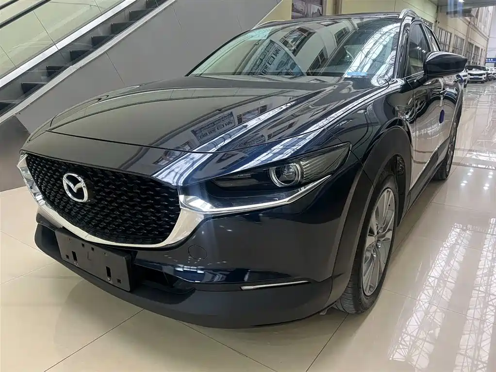 Mazda CX-30 2021 2.0L Auto Premium Joy Type
