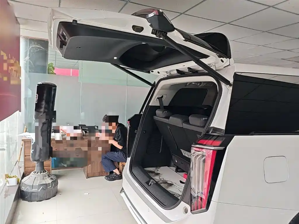 GAC Trumpchi Trumpchi M8 2024 Master Series Super Hybrid фото 19