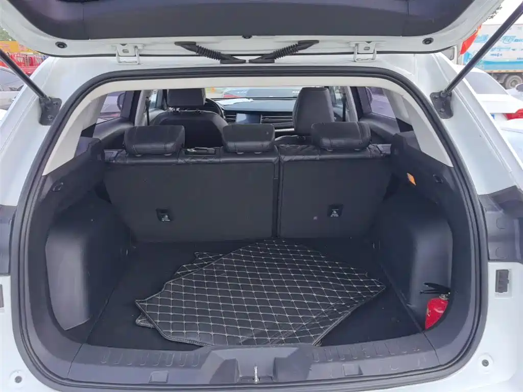 Haval H6 2020 1.5GDIT Automatic Platinum Champion Edition фото 19