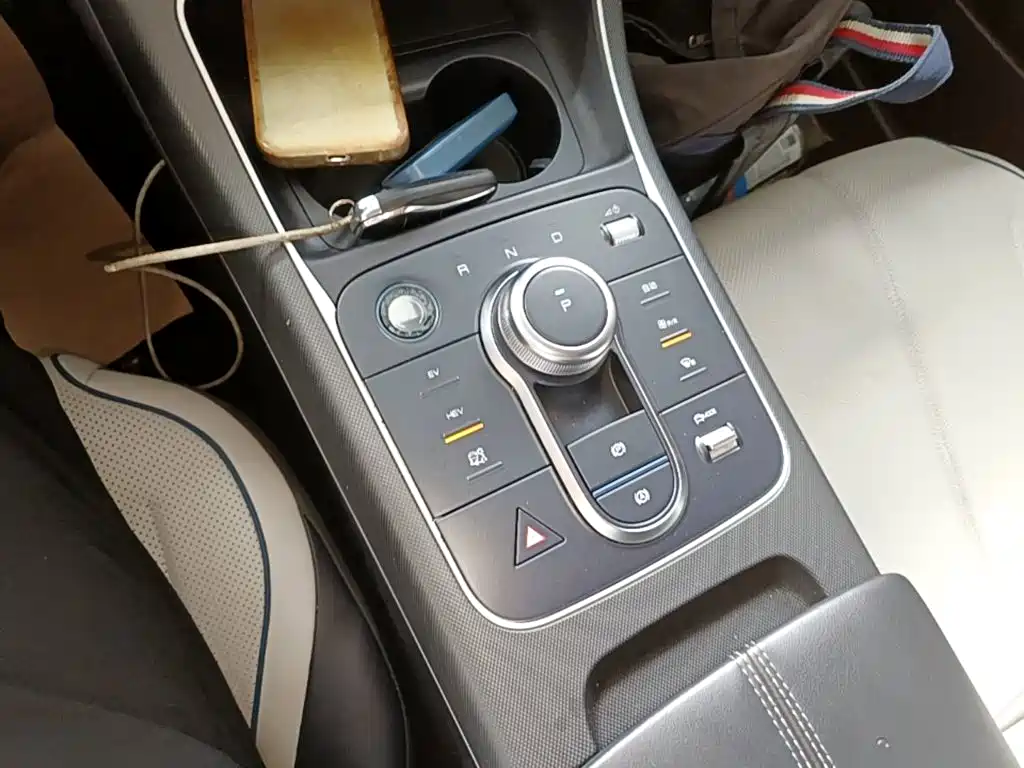 BYD Destroyer 05 2024 2024 Glory Edition DM-i 55KM Luxury