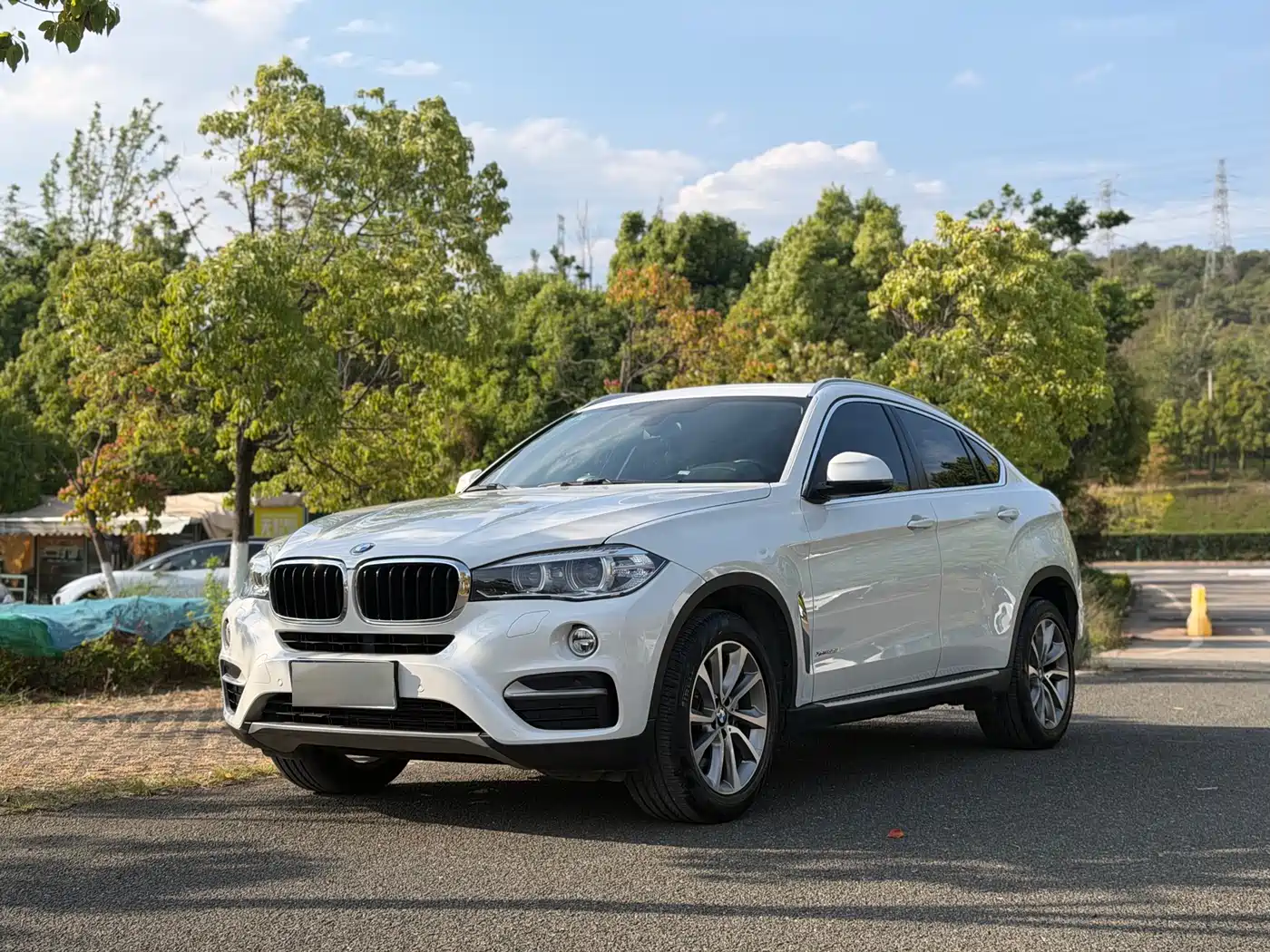 BMW X6 2015 xDrive35i Luxury Model
