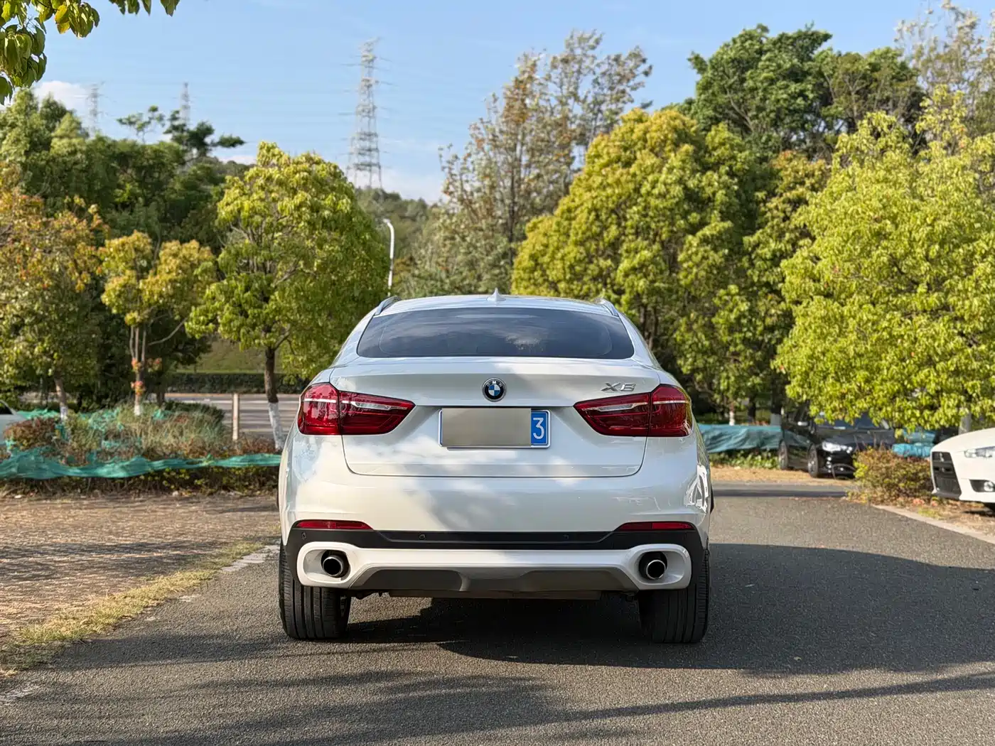 BMW X6 2015 xDrive35i Luxury Model фото 3