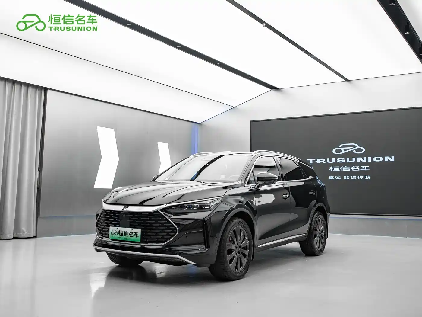 2026 BYD Tang New Energy