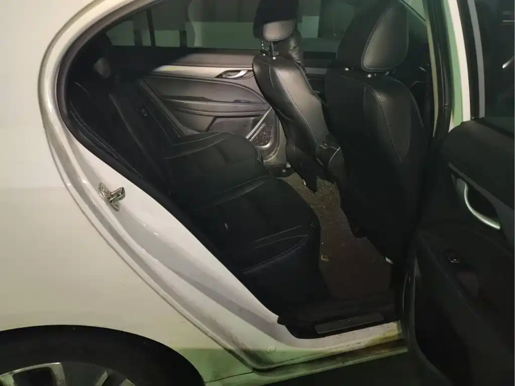 Geely Emgrand New Energy 2018 2018 EV350 Elite Edition