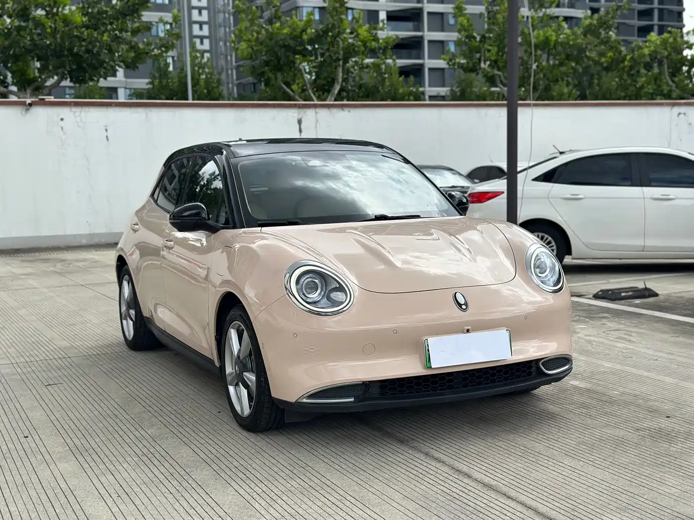 Ora Good Cat 2021 2021 400km Standard Range Venus Edition (LFP)