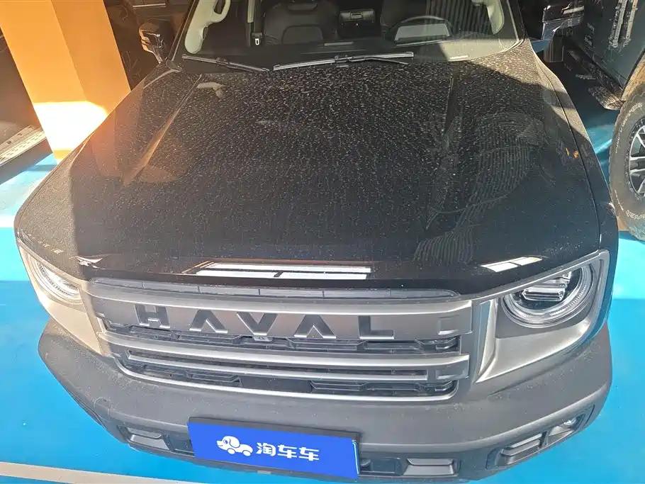 Haval Big Dog 2024 2.0T DCT Chinese Rural Dog Edition фото 2