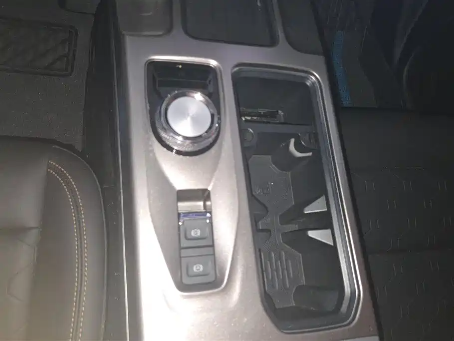 Haval Big Dog 2024 2.0T DCT Chinese Rural Dog Edition фото 16